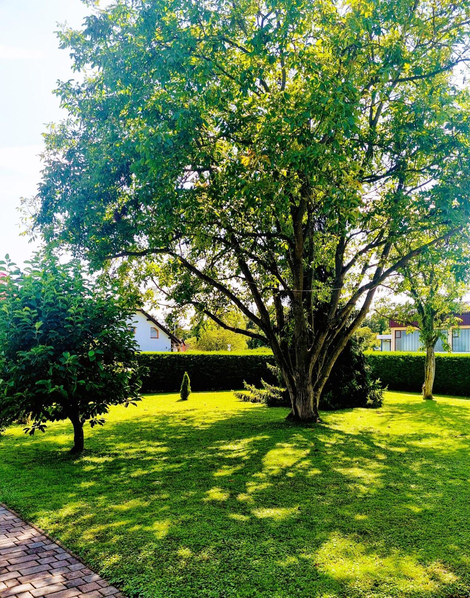 Apartments Ad Radenci Dış mekan fotoğraf