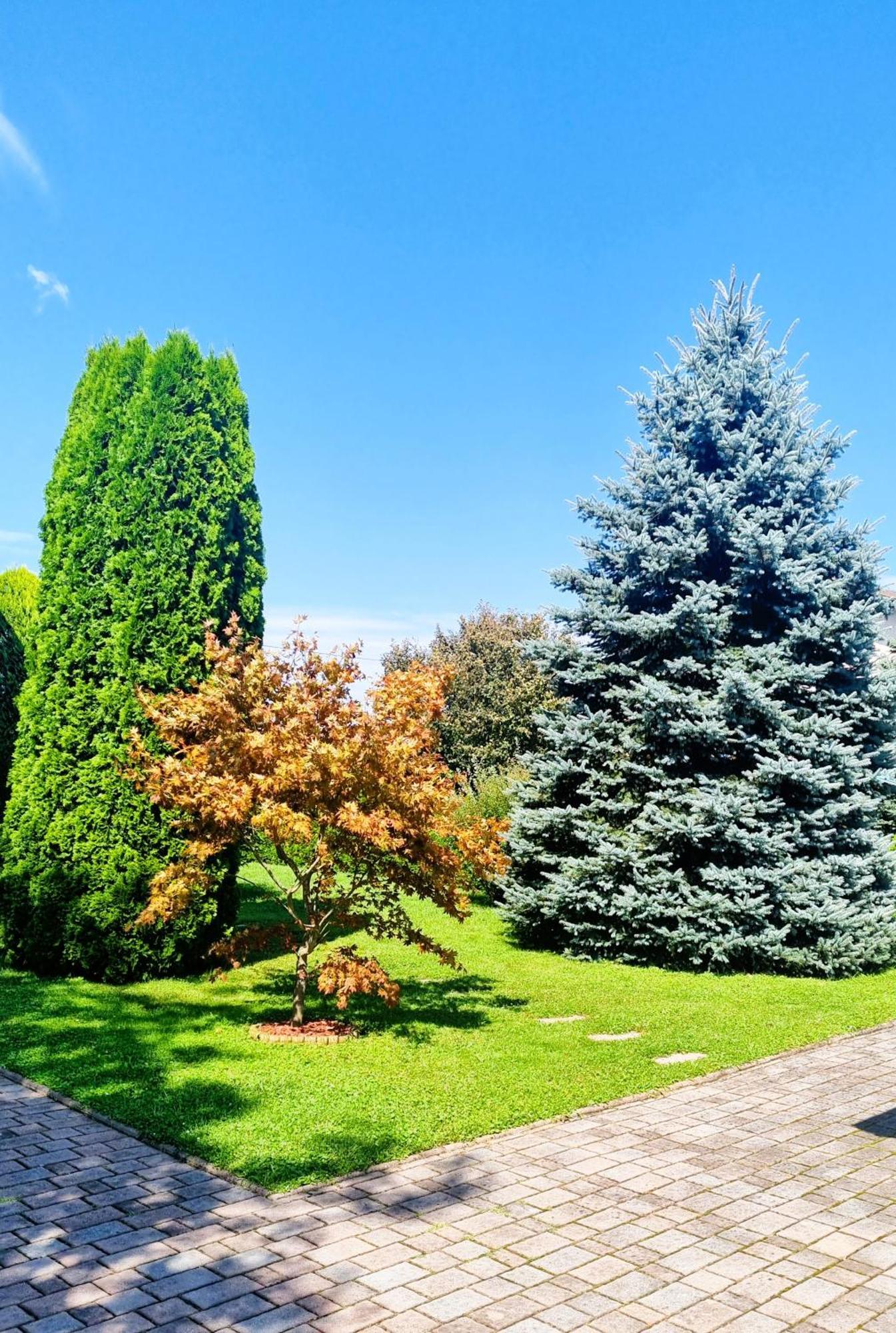 Apartments Ad Radenci Dış mekan fotoğraf